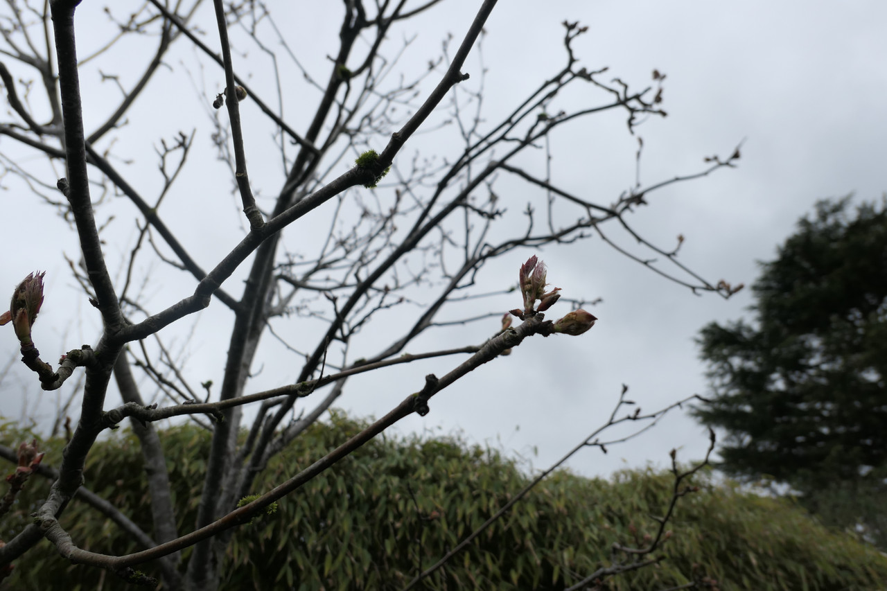 P1040257