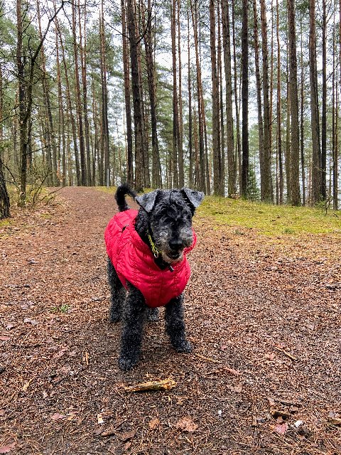 FFE33-BDD-FF94-4006-BB84-469955-D8-D2-D9