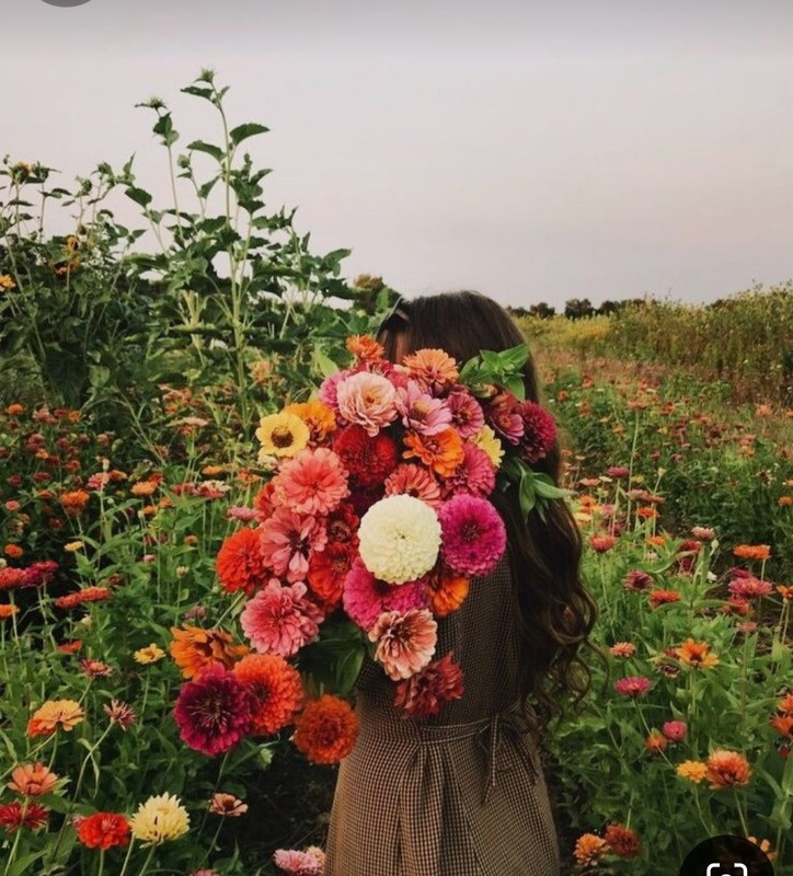 Screenshot_20240617_220823_Pinterest