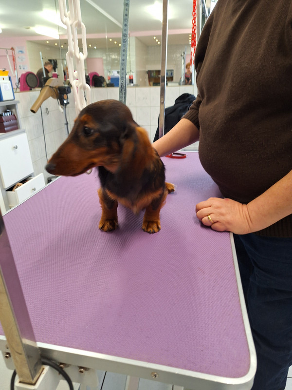 [Image: 20240208-143423.jpg]