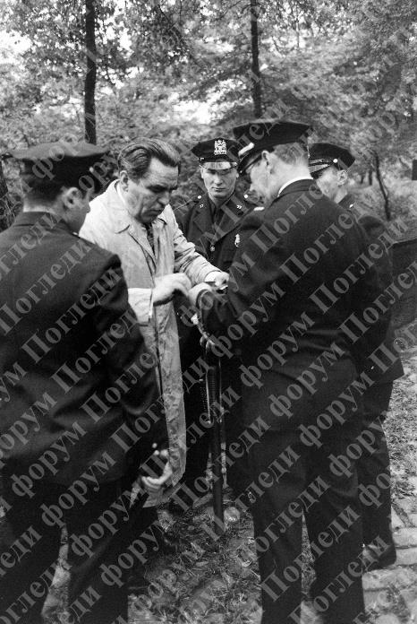 [Слика: image-1.jpg]