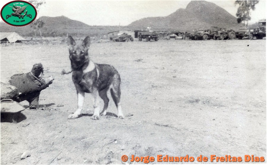 ultramar-freitas-dias0034
