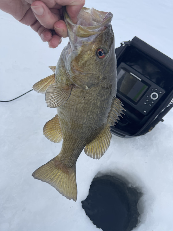 6C25E470-379D-4AFD-80A6-3C17DFAD28F9