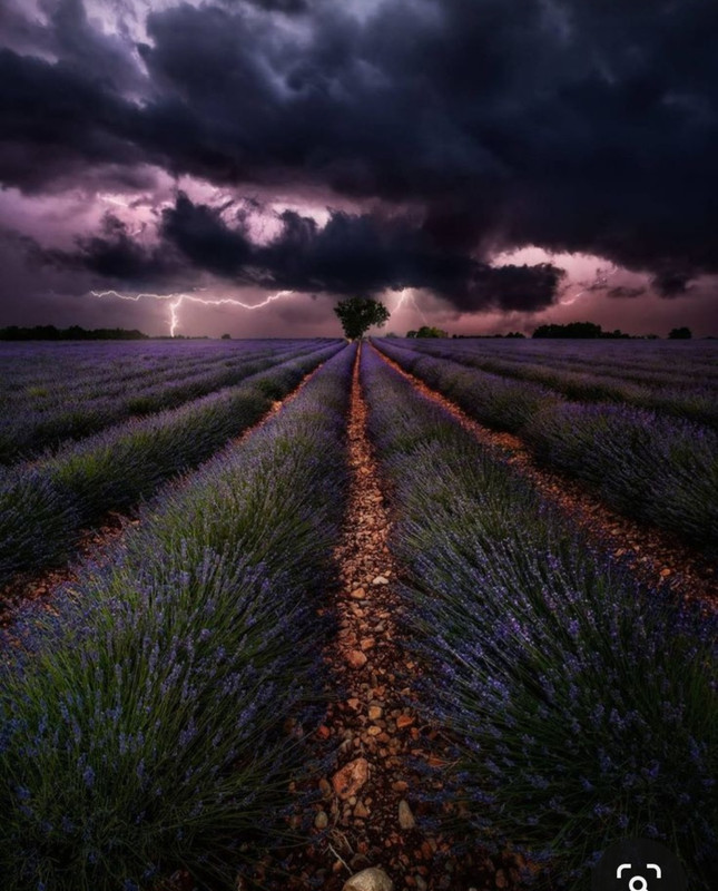 Screenshot_20240324_221631_Pinterest