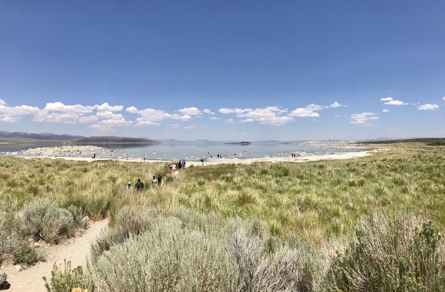 [Image: 03708-A74-8-C3-E-4129-AE27-A9-BCC91-AA826.jpg]