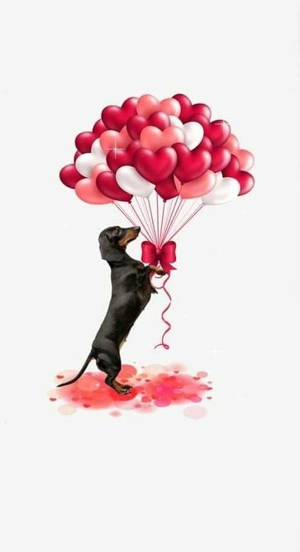 [Image: FB-IMG-1679645711444.jpg]