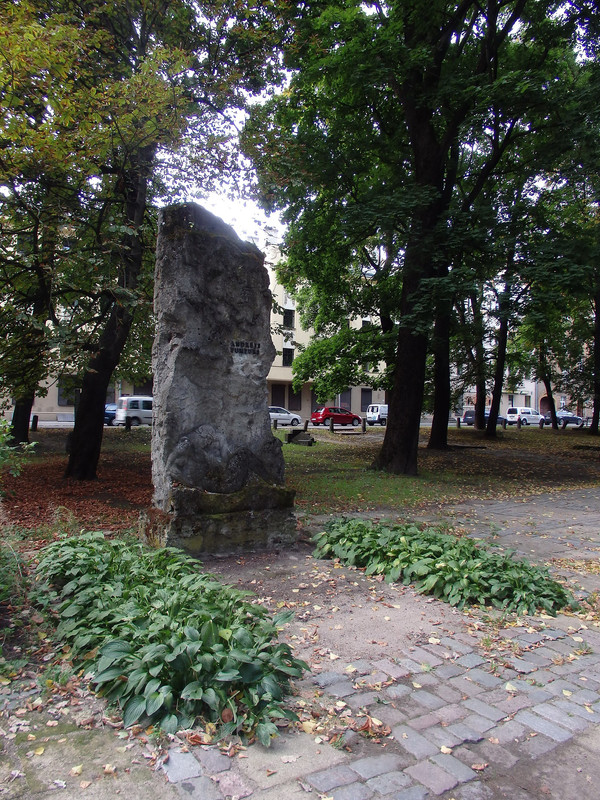 Dzejnieka-A-Pumpura-kaps