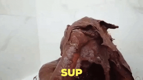 C8D0E6EA-BECB-41F8-AB76-4FFA2A06D8DB