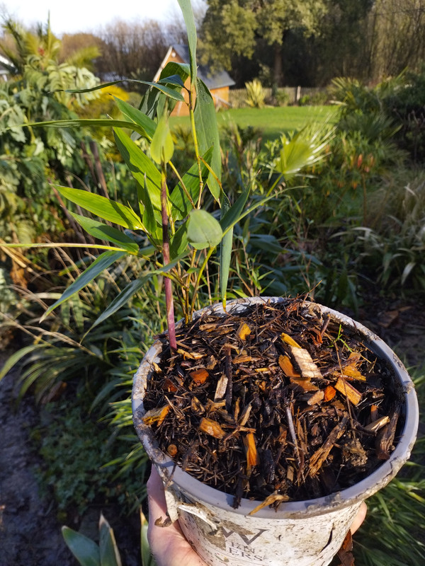 IMG 20260123 151539198