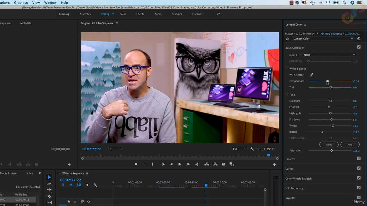 10 Color Grading vs Color Correcting Video in Premiere Pro mp4 0003