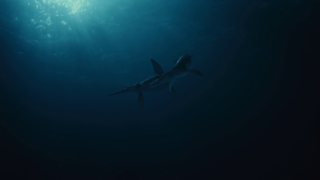 vlcsnap-2023-02-11-16h54m59s762