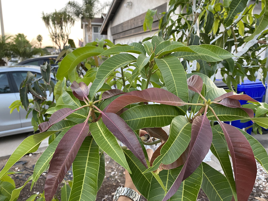 74337B53-75BC-4F94-8EF4-185F4FB515D8