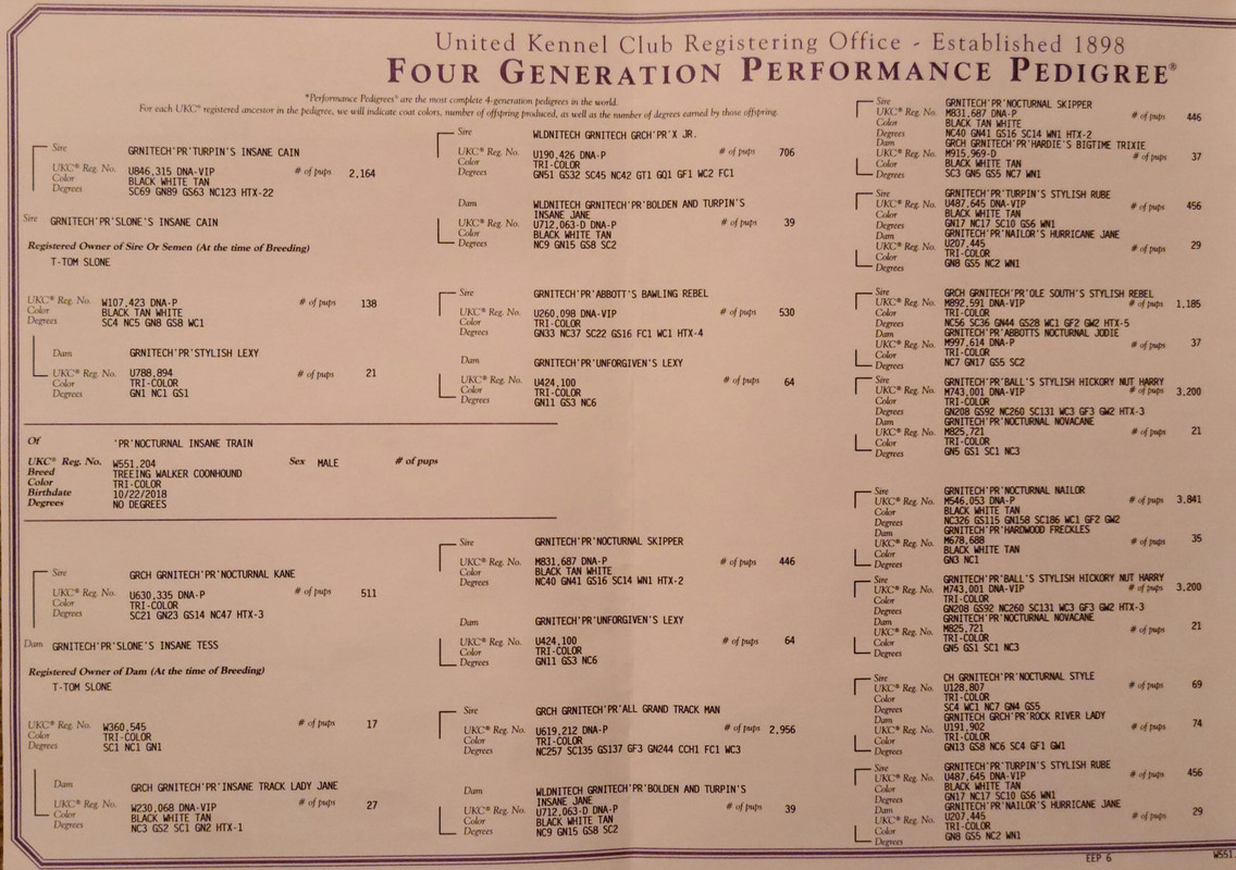 Nocturnal Insane Train1