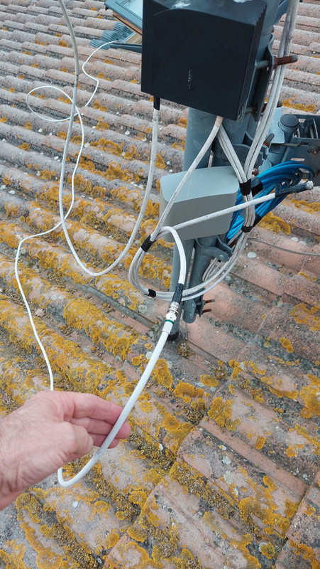 WhatsApp Image 2022-04-01 at 18.59.25 (2)