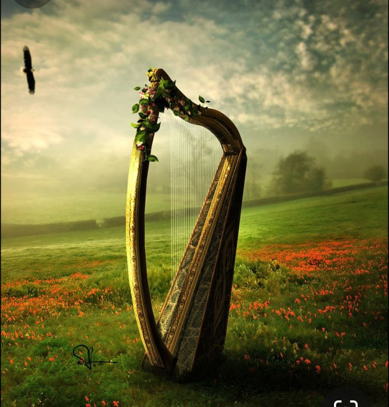 Screenshot_20240324_213940_Pinterest