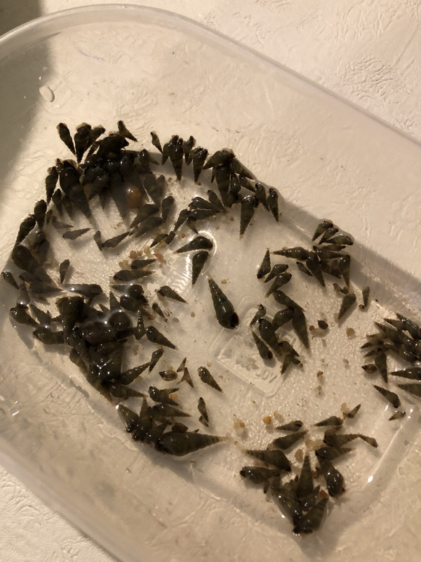 BD8E6553-BC70-425A-A22B-F27FA3701AD2