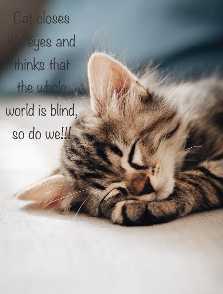 F26048-A3-BCB4-4170-B8-FE-10-A7-A3559-E1