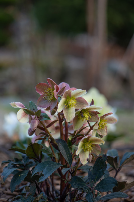 IMG-16b5d9946d9b370d9617ab75b1f4bef9-V