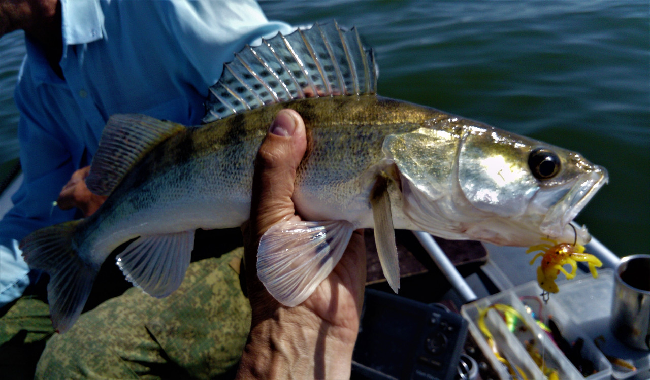 DSC_0957 — копия