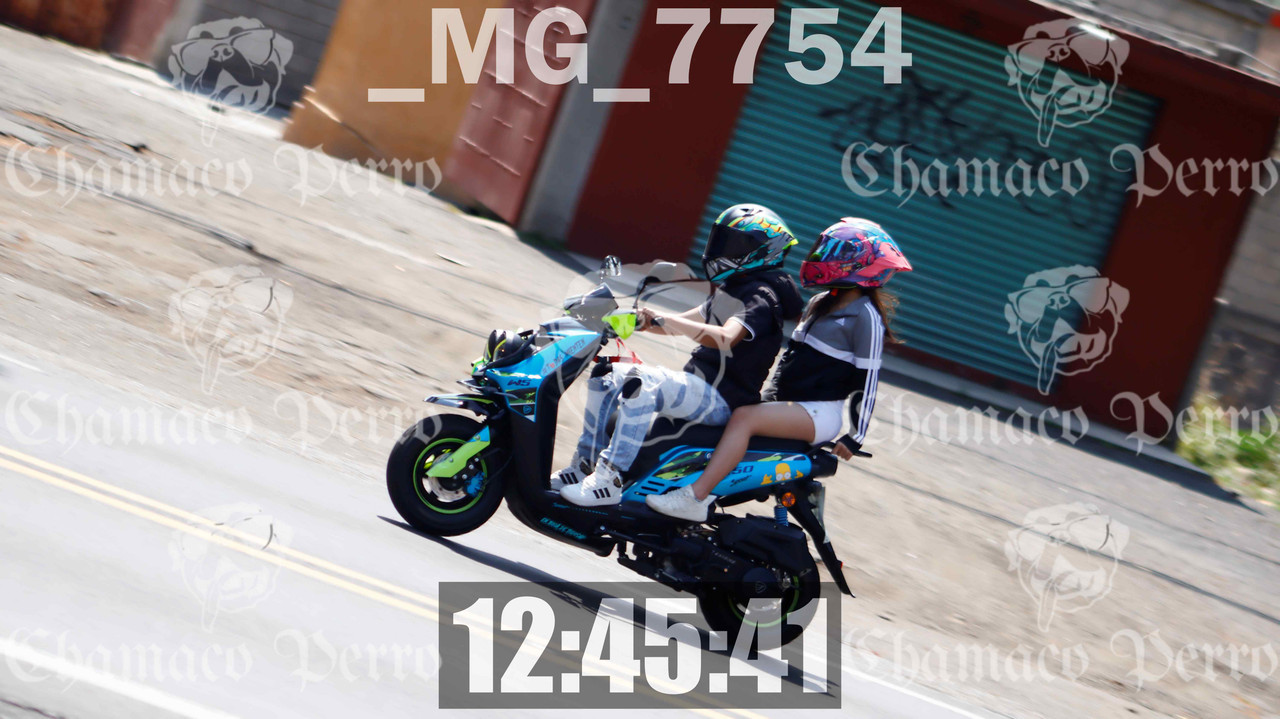 MUESTRA MG 7754 — Postimages