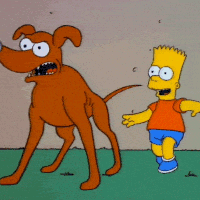 who-let-dogs-out-av.gif