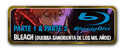 Bleach (2022) (Guerra Sangrienta de los Mil Años) [BDRip 1080p] (sub español)