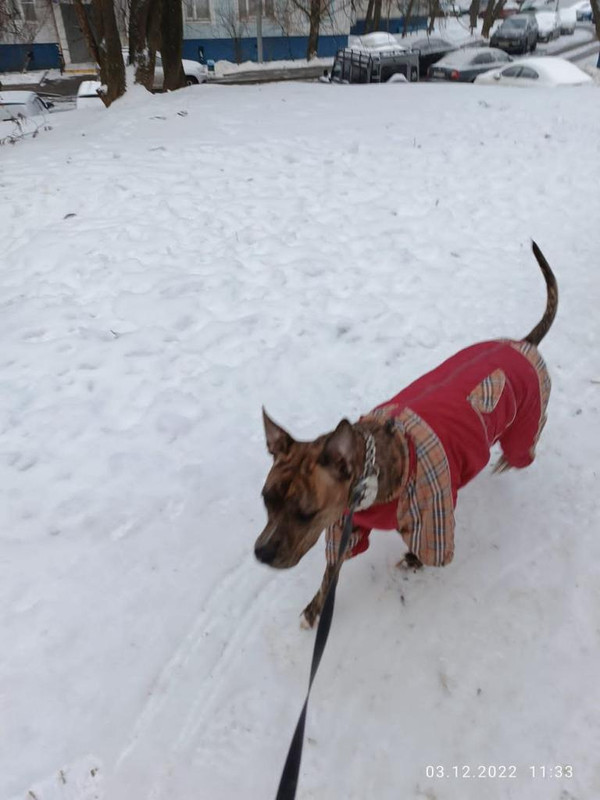 8A1F33EB-2E70-41E9-9A23-CED21C24A070