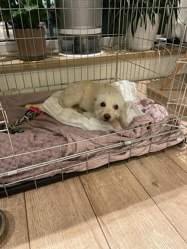 166793C1-1298-4685-9B5B-E6050A9C87FC