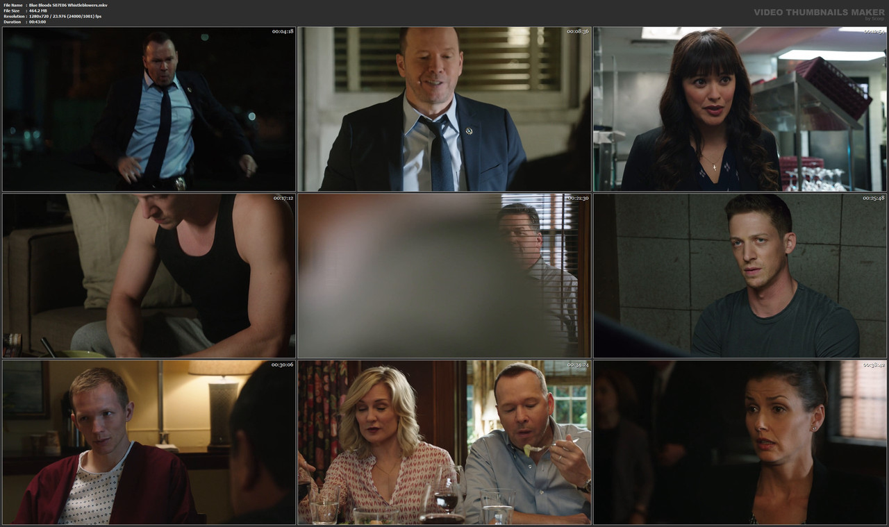 Blue Bloods S07E06 Whistleblowers.mkv