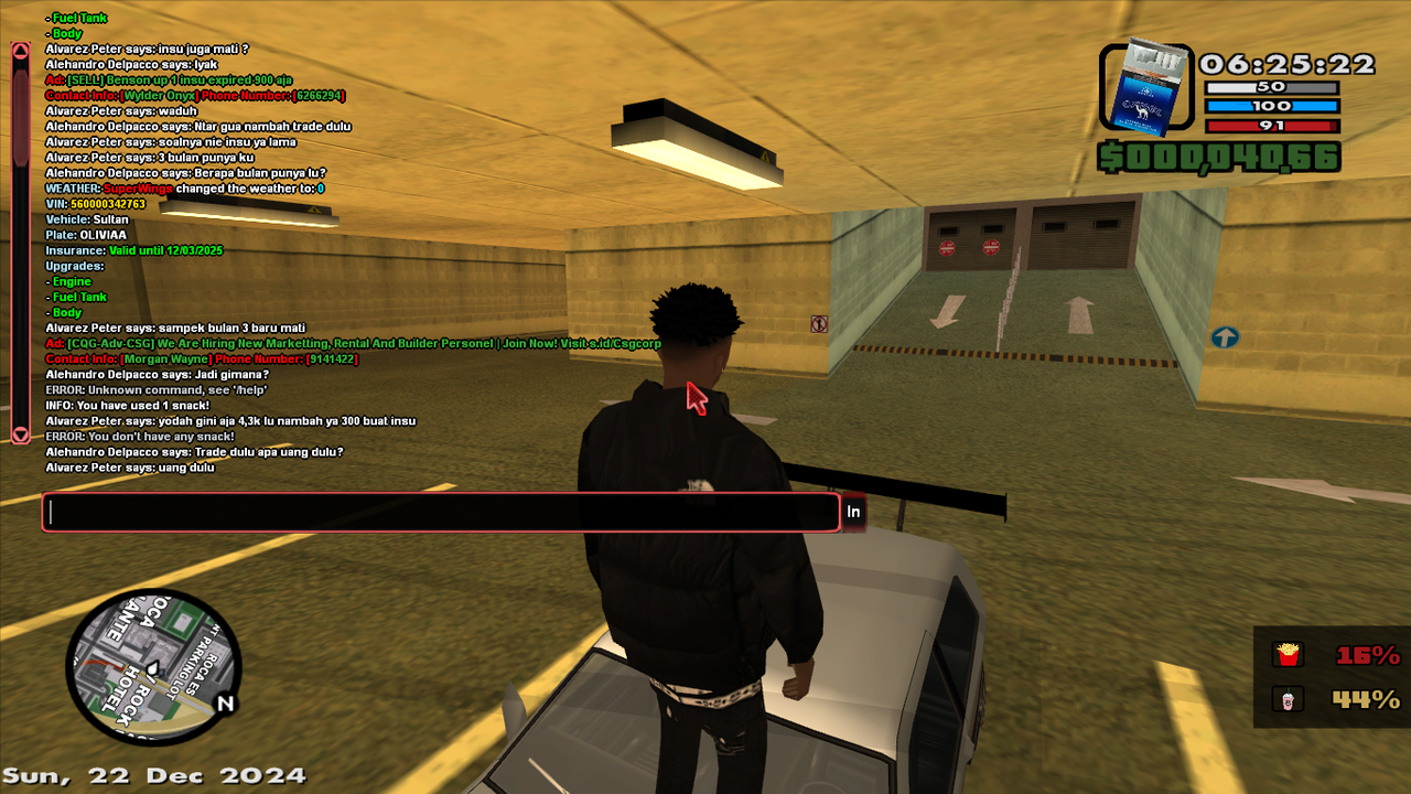 samp-22-12-2024-06-25-21.png