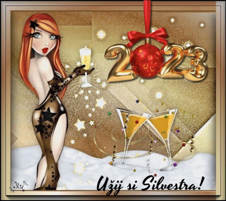 uzij-si-silvestra.gif