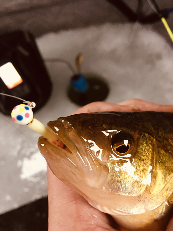 4A6087C5-7739-43DC-9636-821E47E0D5F2