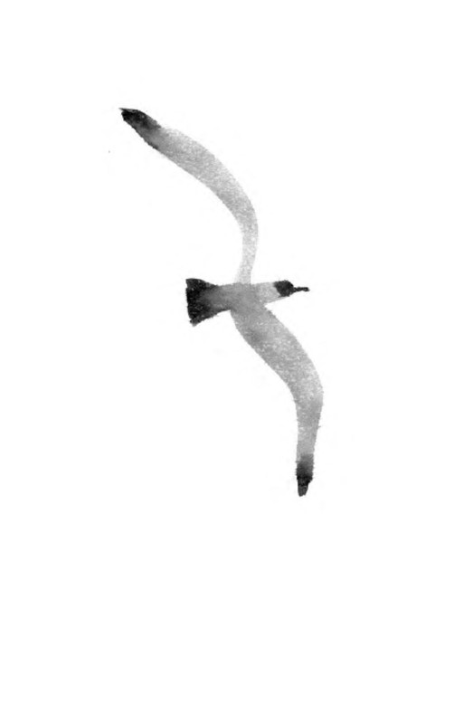 p0005
