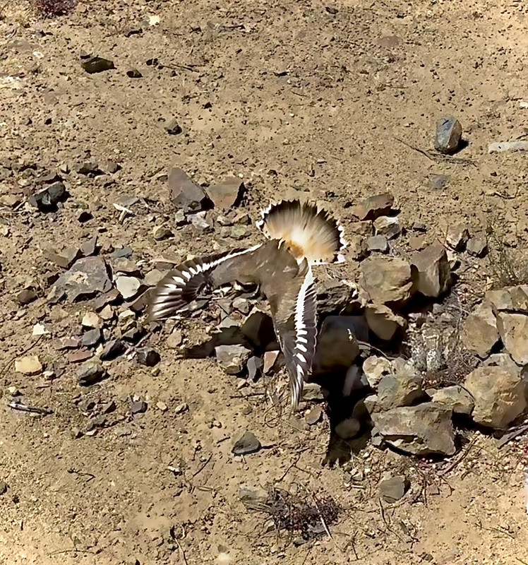 C7B6262E-36F1-405C-AD14-00BBAB245180