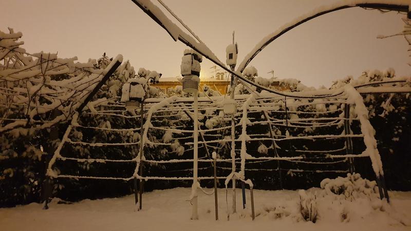 20190127_214756