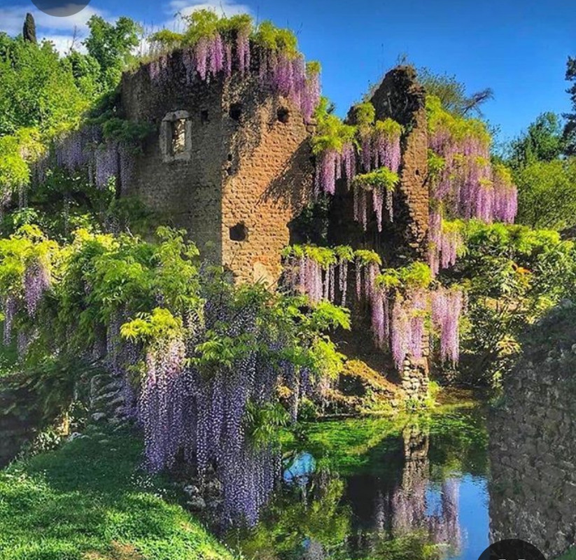 Screenshot_20230409_195353_Pinterest