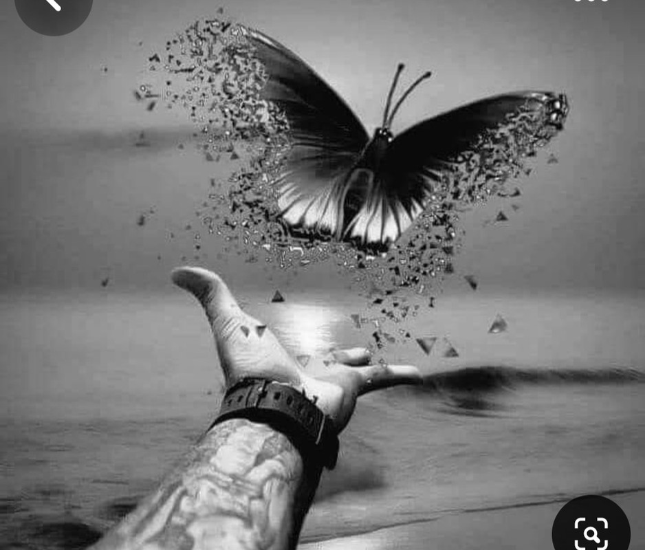 Screenshot_20240611_214757_Pinterest