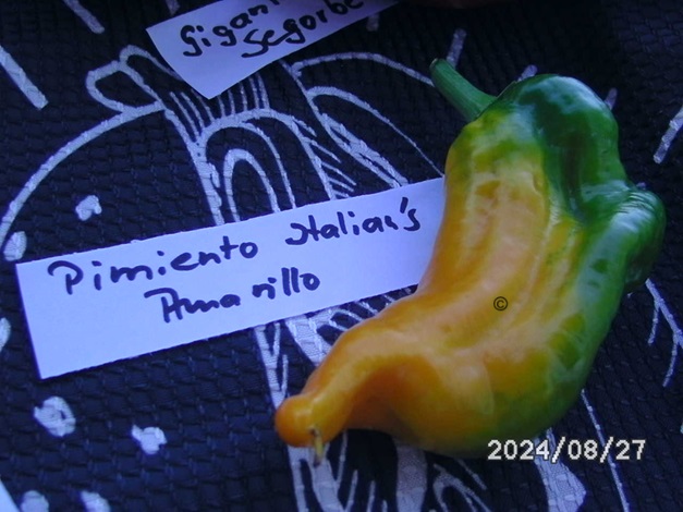 [Bild: BILD0358.jpg]