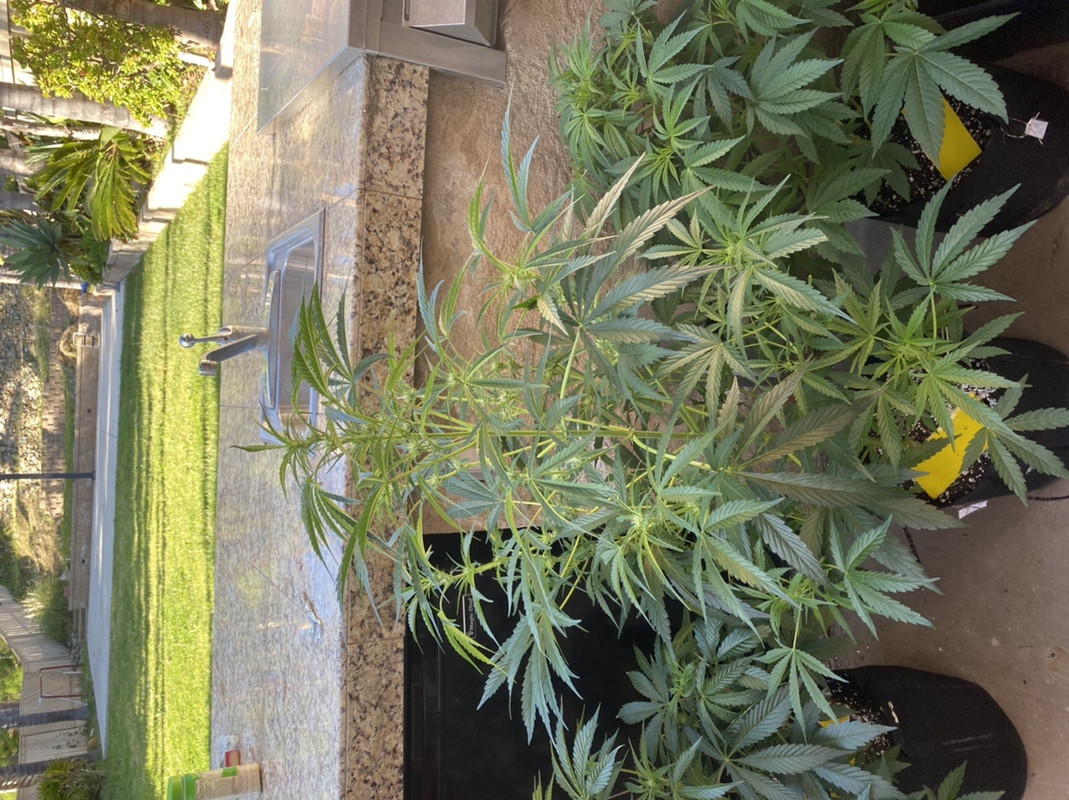 76EE511F-FD33-4DAD-8D0F-97476056314C