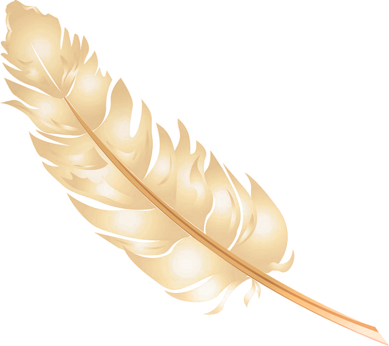 Halloweenpumpkinkitpudnfeather