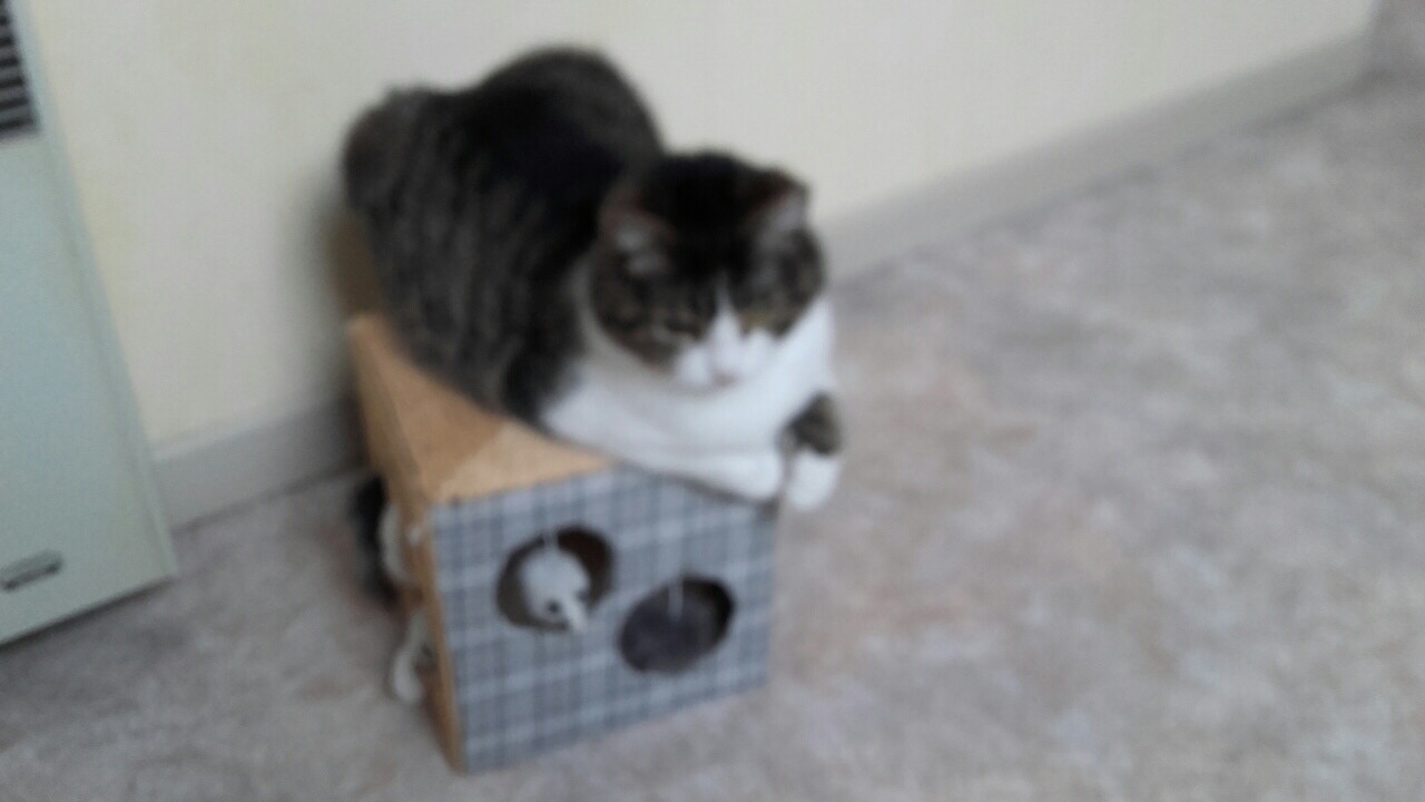 E094BD00-EE19-4DD1-B081-47D69922810D