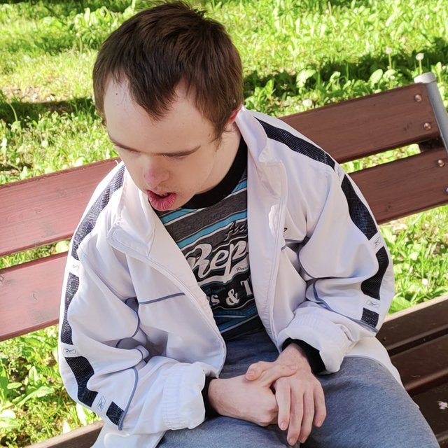 Kép