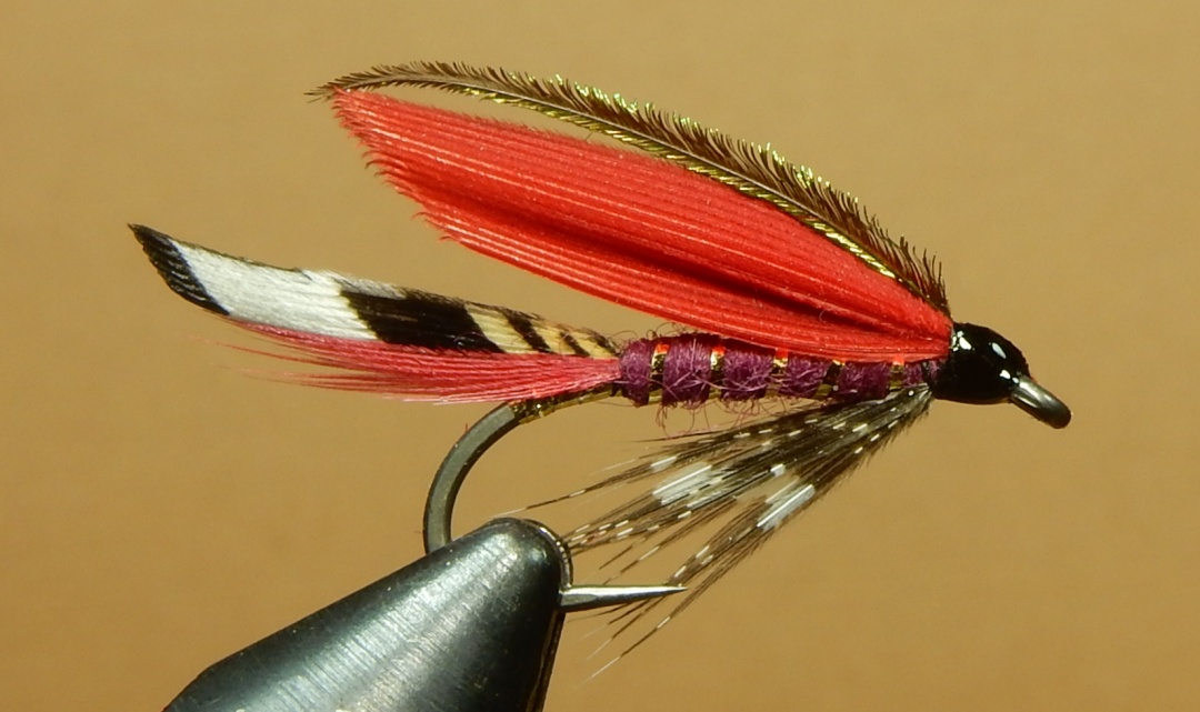 Mc-Alpin-1080.jpg