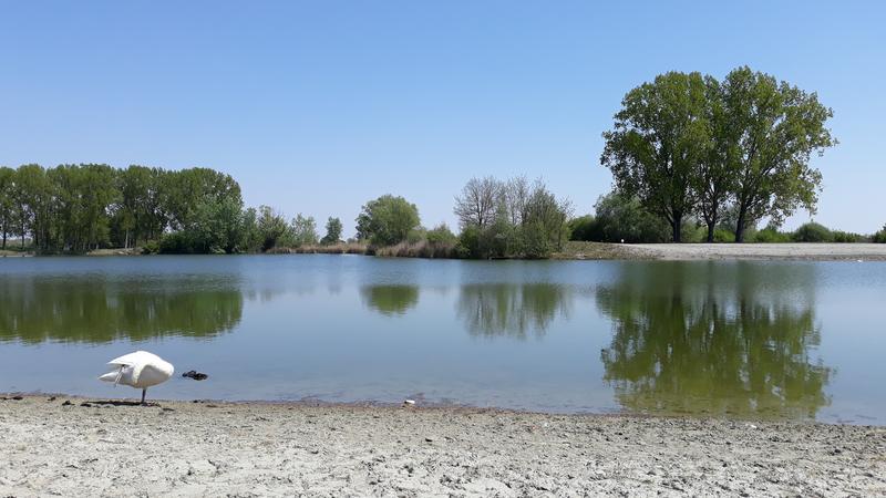 Slika
