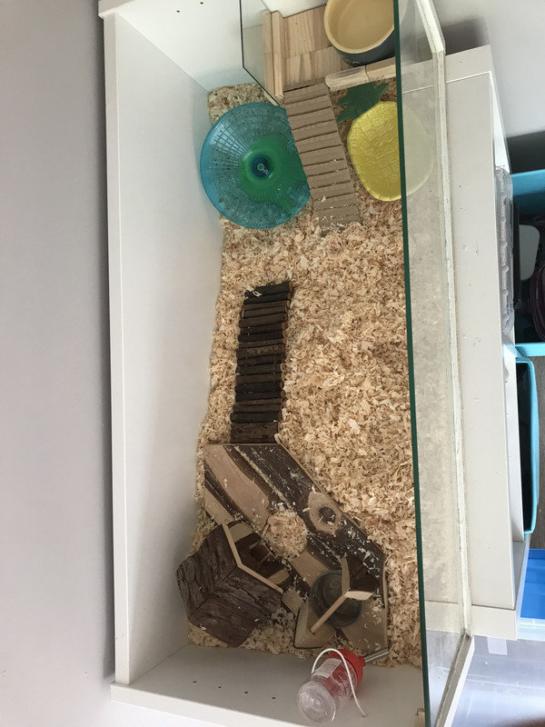 5BF7B4D0-AB45-4633-8156-99EAA90FAC0A