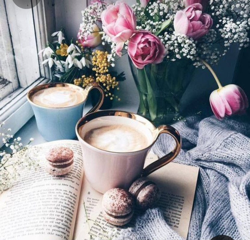 Screenshot_20230330_004934_Pinterest