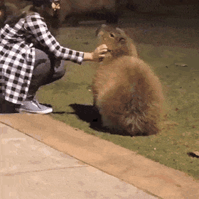 GIFs-19