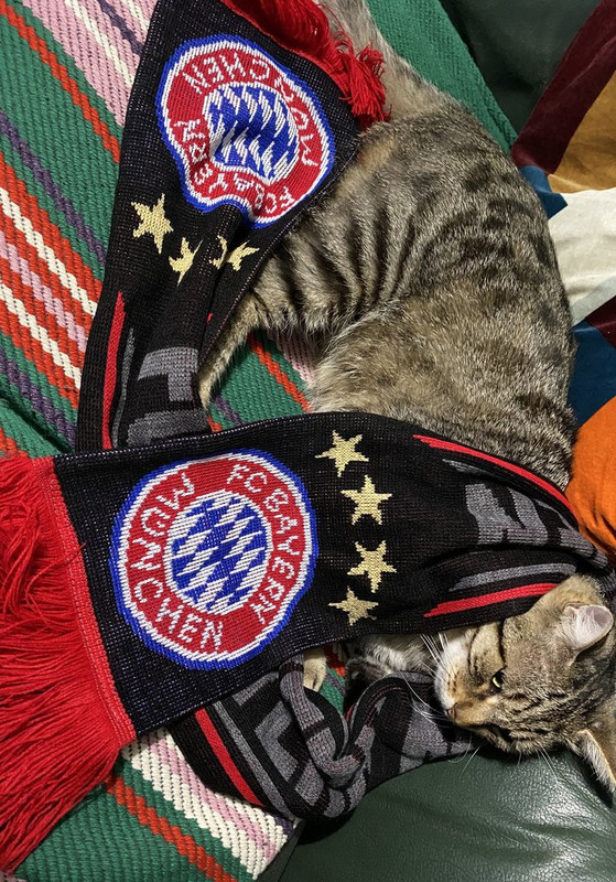 6CEFD560-76EC-4D37-A7B6-756E0638B242