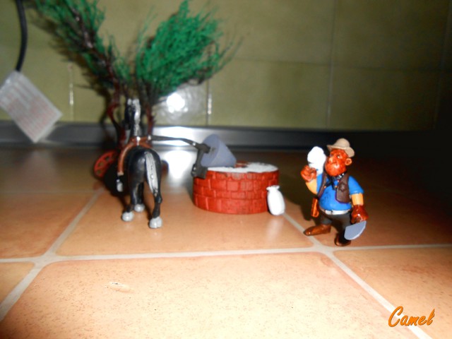 DSCN7896