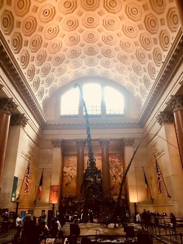 CDE64859-498E-47BB-B84E-D68F9ABA0B15